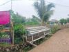 IMG-20250830-WA0049